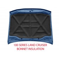 Toyota Land Cruier 100 Series U.B. (3C).jpg