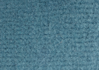 Kingfisher Blue (Sky blue)