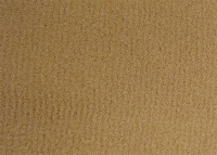 Buckskin Beige